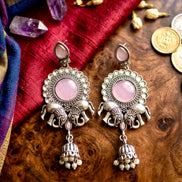 The Blush Pink Elephant Whispers