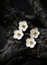 Matte White Floral Blossom Drop