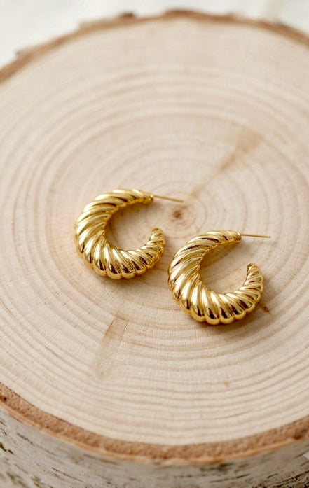 Golden Spiral Hoops