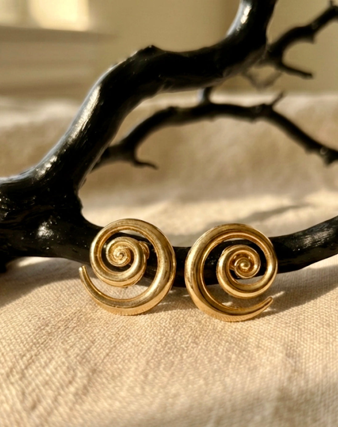 Golden Spiral Hoops